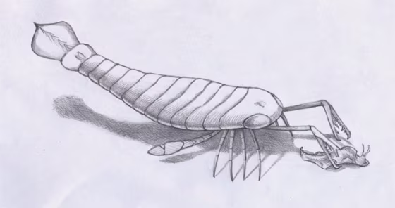 Sea scorpions were thought to be terrors of the ancient seas 470 million to 370 million years ago, reaching more than 8 feet (2.5 meters) long with large claws laden with sharp spines. 